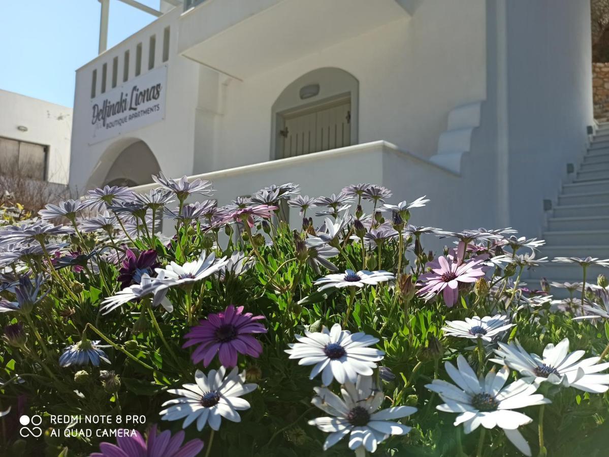 Villa Delfinaki Lionas Exterior foto